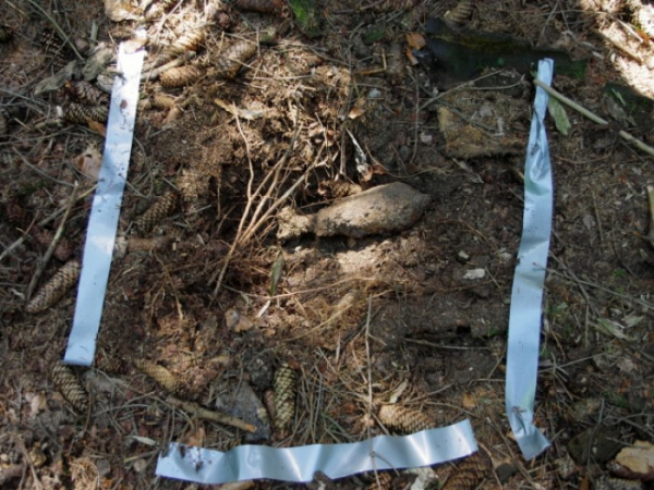 Muž při procházce nalezl dělostřelecký granát 