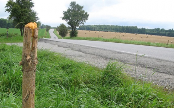 Také letos budou silnice v Kraji Vysočina lemovat pachové ohradníky